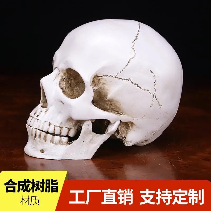Halloween resin skull